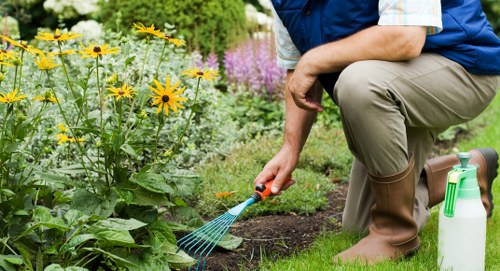 A close-up view of a gardener kneeling on a well-maintained lawn in a garden located in Whitechapel, with a focus on the lower half of a person wearing beige trousers and brown knee-high boots, tending to a flower bed bordered by a variety of flowering plants. The gardener is holding a small garden rake and appears to be working near a lush cluster of yellow and purple blooms, with soil visible beneath the plants. In the background, there are additional flower beds with vibrant, colourful flowers and a backdrop of trimmed bushes and green foliage, indicating a neatly landscaped outdoor space. The scene is illuminated by natural daylight, suggesting a clear or partly cloudy day, suitable for outdoor gardening activities. The environment showcases a professionally maintained garden area that highlights the importance of lawn care, shrub trimming, and flower bed upkeep, aligning with local gardening and landscaping services in Whitechapel.
