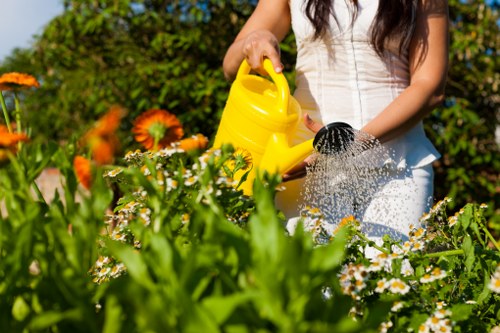 A garden scene captured during bright daylight shows a lush, well-maintained outdoor space with a variety of plants and flowers, including orange and white blooms in the foreground. The garden features a neatly trimmed hedge along the background, with dense green foliage and small trees that frame the scene. The ground consists of a grassy lawn with healthy, dense grass patches and paved walkways that border flower beds. A person, partially visible, is watering the plants with a yellow watering can, holding a small black garden tool in the same hand. The environment appears vibrant and lively, with natural sunlight illuminating the scene, suggesting favorable weather conditions. This outdoor space exemplifies professional gardening and landscaping maintenance typical of services offered by Hedge Trimming Whitechapel, highlighting the importance of proper garden care for lush, organized garden layouts in the Whitechapel area.